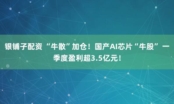 银铺子配资 “牛散”加仓！国产AI芯片“牛股” 一季度盈利超3.5亿元！