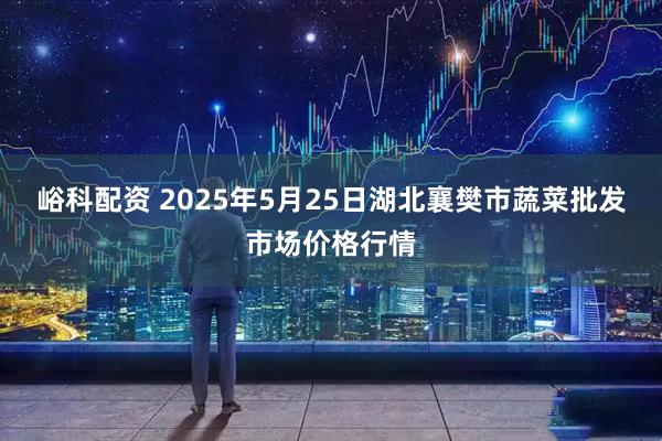 峪科配资 2025年5月25日湖北襄樊市蔬菜批发市场价格行情