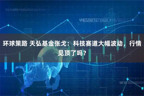 环球策路 天弘基金张戈：科技赛道大幅波动，行情见顶了吗？