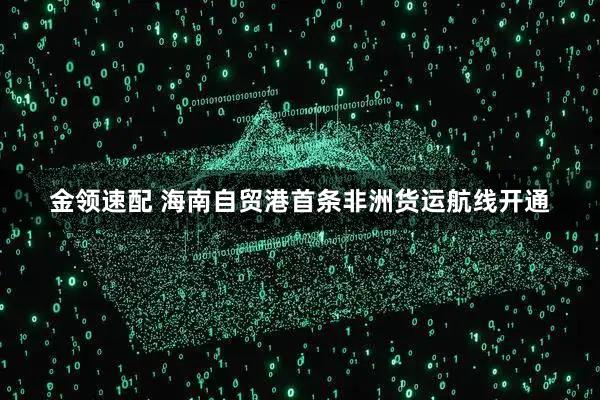 金领速配 海南自贸港首条非洲货运航线开通