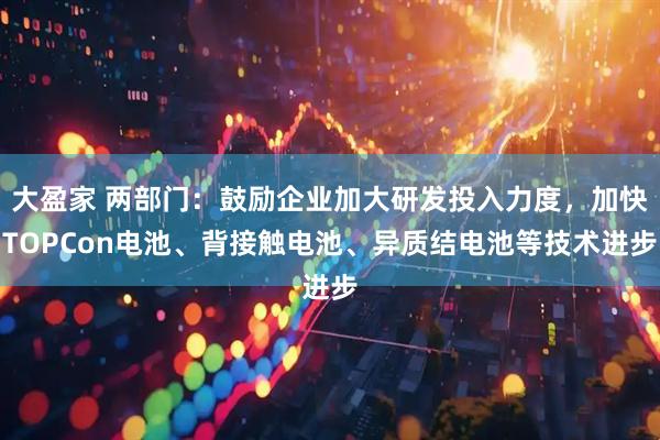 大盈家 两部门：鼓励企业加大研发投入力度，加快TOPCon电池、背接触电池、异质结电池等技术进步